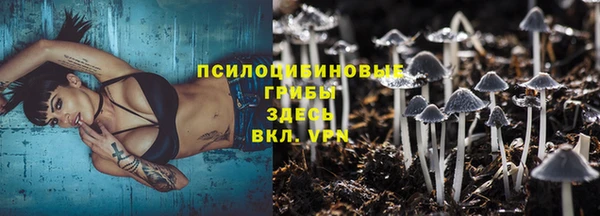 каннабис Арсеньев