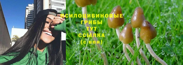 каннабис Арсеньев
